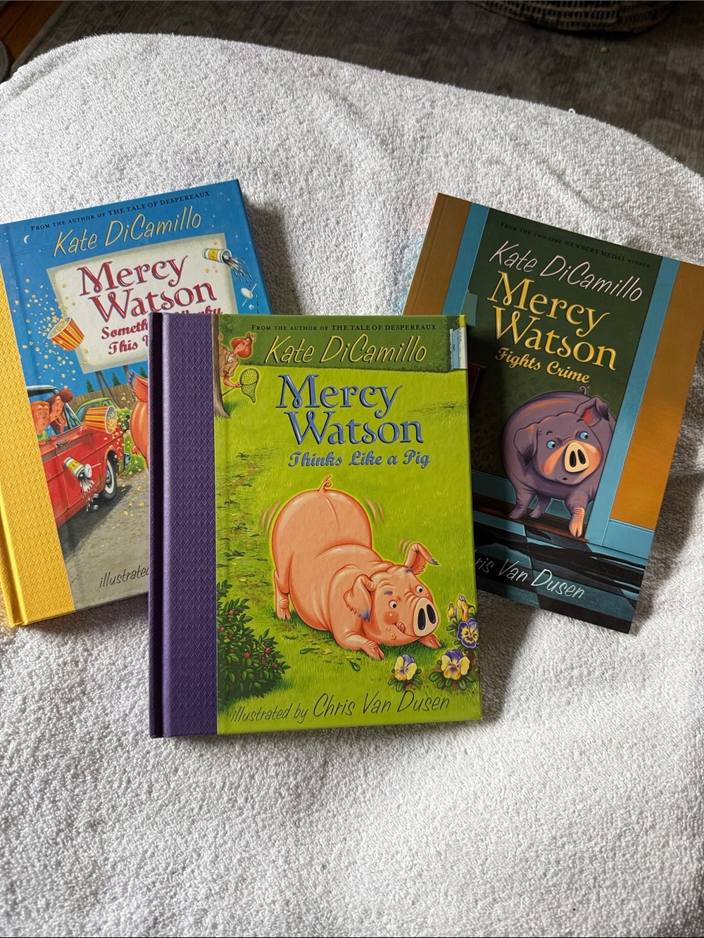 Mercy Watson Children's Book